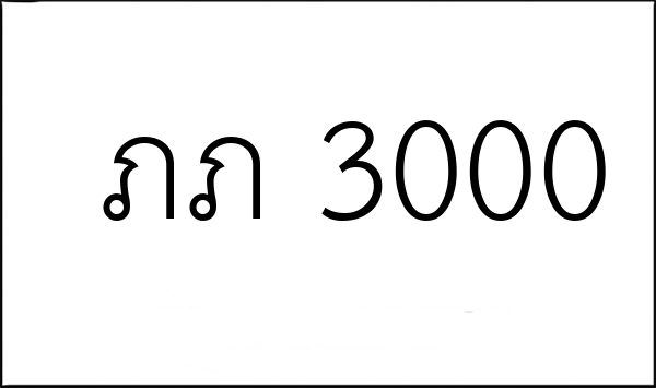 ภภ 3000